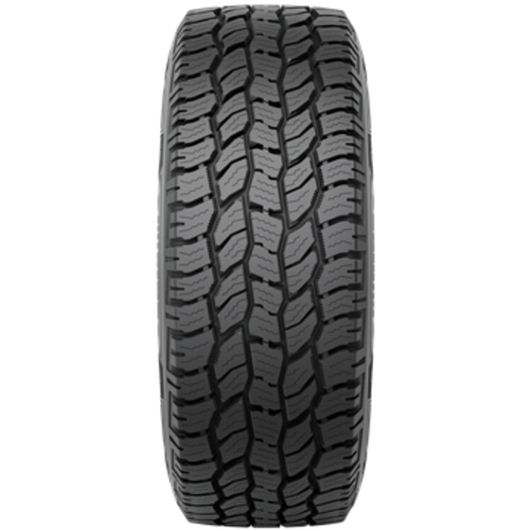 PNEU 255/65R17 110T WRL AT ADV + GOODYEAR - Imagem Secundária